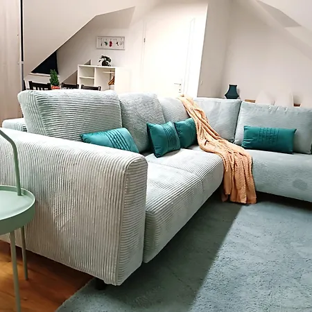 公寓 Comfy Penthouse 萨尔茨堡