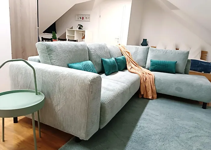 公寓 Comfy Penthouse 萨尔茨堡