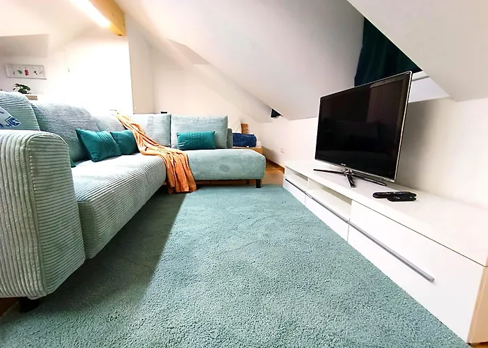 Comfy Penthouse 公寓 萨尔茨堡